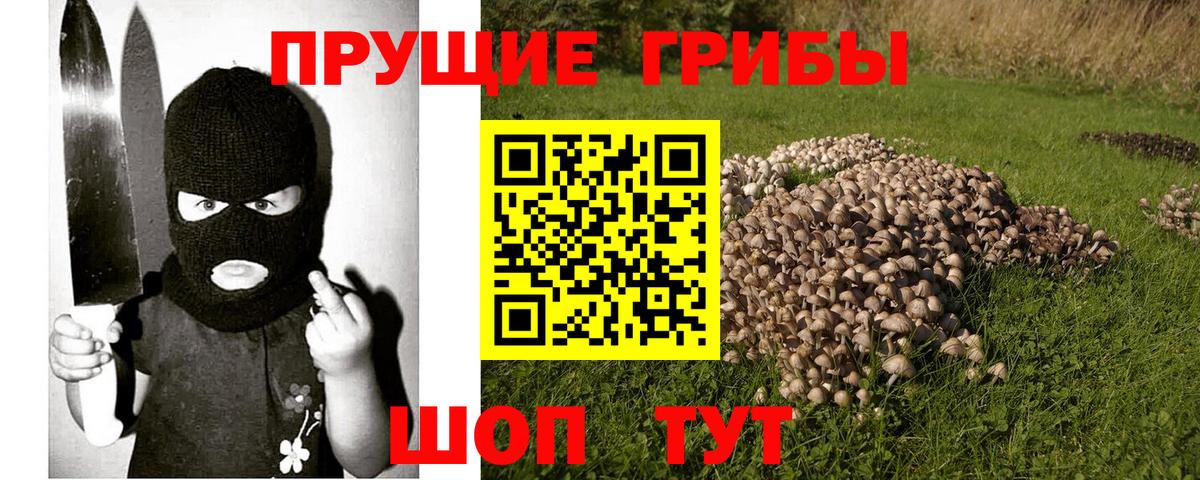 Галлюциногенные грибы прущие грибы Шебекино